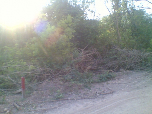 ขายที่ดิน อ.เมืองสระบุรี