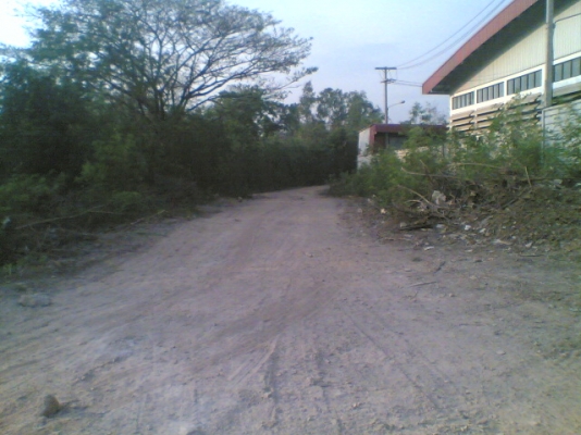 ขายที่ดิน อ.เมืองสระบุรี