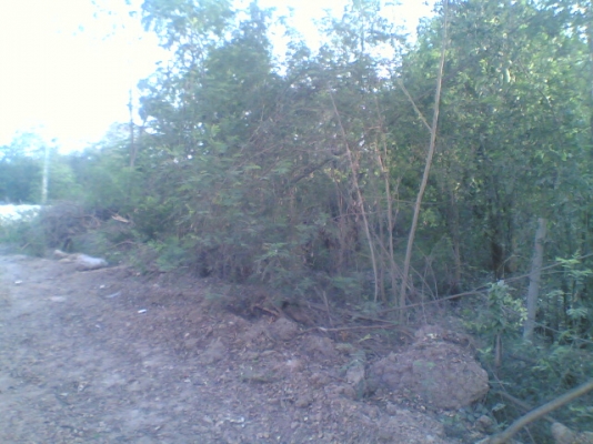 ขายที่ดิน อ.เมืองสระบุรี