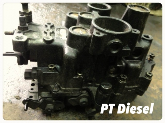 ขายกวนา RLDJ