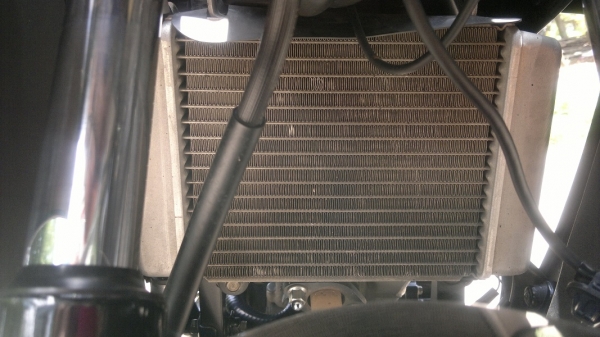 cbr 150 สวยใสปิ้ง