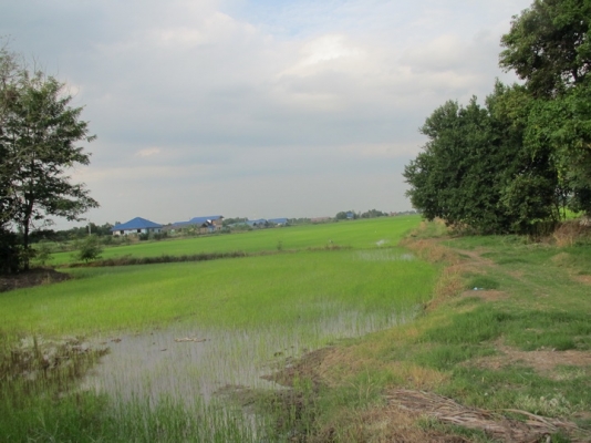 ขายที่ดินราคาถูก