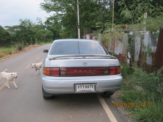 ขายรถราคาถูกพร้อมใช้งาน ขายรถราคาถูกพร้อมใช้งาน