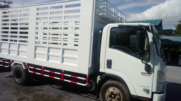 6ล้อISUZU NPR150แรงกระบะคอกเหล็กยาว5มต่อใหม่. สวยมาก