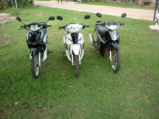 ขาย เวฟ 110 i สป๊าคนาโน สต๊าทมือสองคัน 3คัน ขาย  52500 บาท