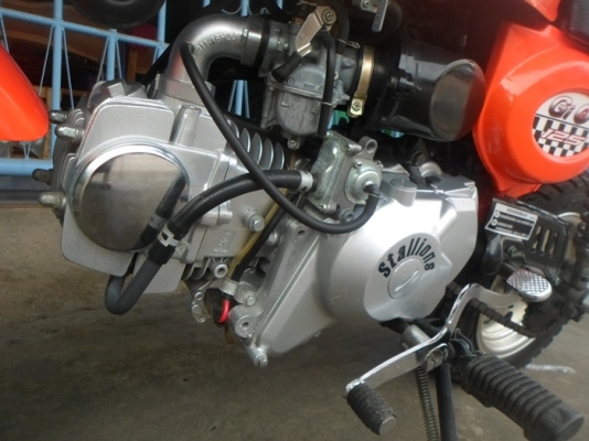 ขายMINI 125CCมีทะเบียนโอนได้ปี55