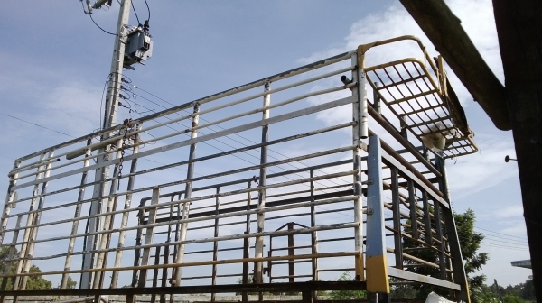 ขายด่วนๆคอก6ล้อ ยาว4.5เมตร ใช้เหล็กแป็บน้ำทำไม่มีสนิม พร้อมเหล็กฉาก ใส่ISUZU NPR