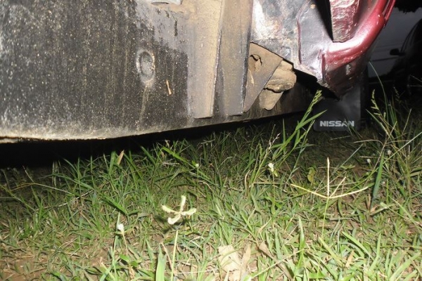 ***ขายแล้วครับขอบคุณ Truck2hand ขายกระบะตอนเดียวเก็บงานแล้ว NISSAN BIG-M ฝาแดงหน้าหัก ปี38/95 เครื่องเดิมBD25ฝาแดงแรงอึดทน ไม่มีเยิ้ม ช่วงล่างแน่นคัสซีดี กระบะดีมีพื้นปูกระบะพร้อมคอกเหล็ก(ลงเล่ม) หน้า-หลัง เดิมไม่เคยชนหนัก สีสวยเคลียร์แล้ว ถายในสวย แอร์เย