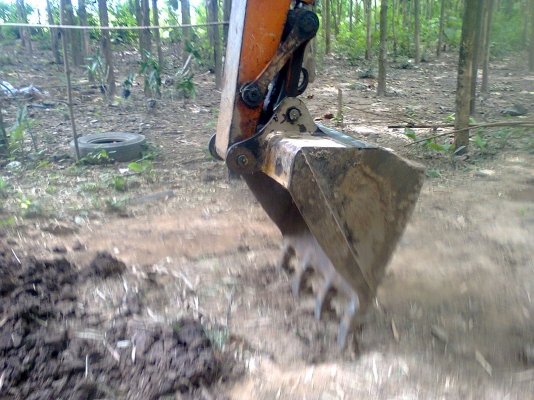 ขาย ด่วน ลดสุดๆ 280000