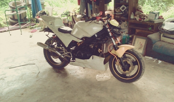 ปรับราคาลงวันสุดท้ายวันนี้วันเดี๋ยวพรุ้งนี้ไม่ขายแล้ว