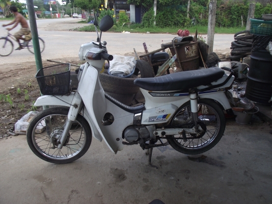 ขายดรีมคุรุสภาสีขาวทะเบียนโอนขาอต่อ10500บาทพิดโลก ขายดรีมคุรุสภาสีขาวทะเบียนโอนขาอต่อ10500บาทพิดโลก