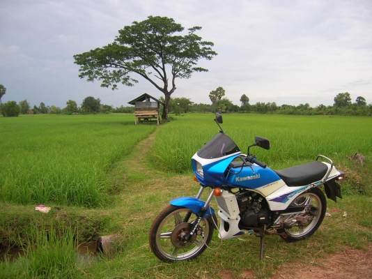 ขาย คาวาซากิ AR125