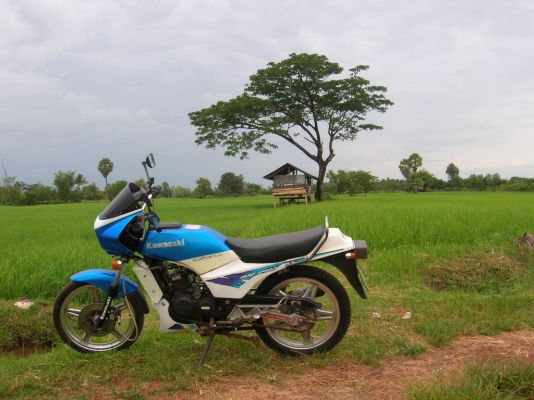 ขาย คาวาซากิ AR125