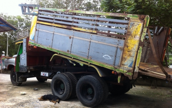 ISUZU TX 165 HP 6BD1 รถหัวยาวสิบล้อดั๊มพ์ 2 เพลา กระบะดั๊มพ์คอกมิเนียมความยาว 6 เมตรสภาพสวยจัด ช่วงล่างใหญ่ชุดเพลาโบกี้เฟืองท้าย 2 เพลาของมิตซูบิชิ FUSO เครื่องแห้งแรงดี หัวเก๋งเดิมๆไม่มีผุกร่อน พวงมาลัยเพาเวอร์ มีสโลว์ครบพร้อม ช่วงล่างคัชซีสวย ยางสภาพดี