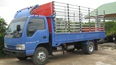 ขายรถ 6 ล้อ อีซูซุ 130 เเรง  ปี 2548