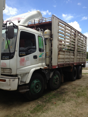 ขาย 12 ล้อ ติด  NGV  2 คัน