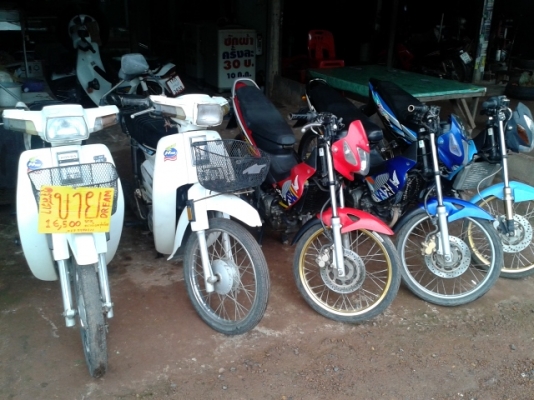 ขายเหมาโซนิคตัวเก่า