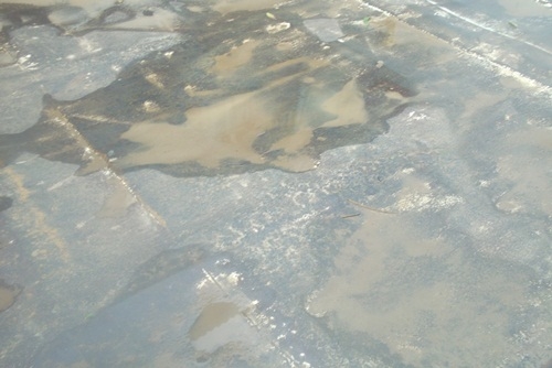 รอ็ค  195  ดั๊ม Fหน้าหลังสภาพพร้อมลุย เอกสารเล่มทะเบียน