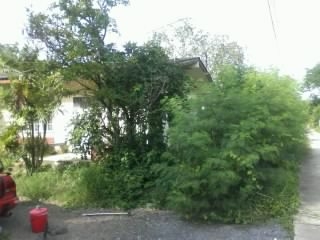 บ้านเดี่ยว ใกล้เมือง ติดถนนคอนกรีต บรรยากาศดี