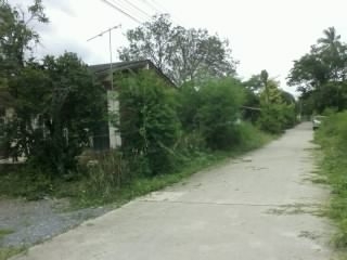 บ้านเดี่ยว ใกล้เมือง ติดถนนคอนกรีต บรรยากาศดี
