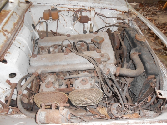 อัลฟ่า โรมีโอ เวรูเช่ อัลฟ่า โรมีโอ เวรูเช่