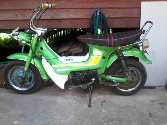 ขายชาลี ยืนคัน ไม่มีเครื่อง