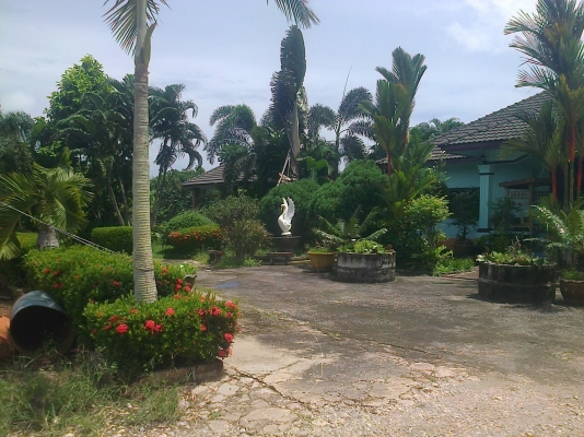 ฝากขายบ้านพร้อมที่ดิน