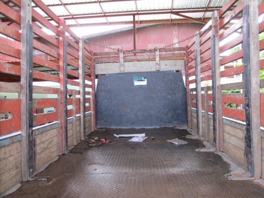 ขาย อีซูสุ NKR 110 HP หัวการ์ตูน