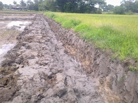 ขายแบ็คโฮ โกเบ รุ่น 3