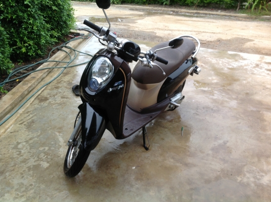 ขายรถมอเตอร์ไซค์ เจ้าของขายเองคะรถบ้านคะเอาไว้ใช้ชื้อกับข้าวคะ