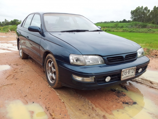 ขายตูดโด่ง สวยๆ ถูกๆ คคบ ขายตูดโด่ง สวยๆ ถูกๆ คคบ