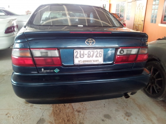 ขายตูดโด่ง สวยๆ ถูกๆ คคบ ขายตูดโด่ง สวยๆ ถูกๆ คคบ