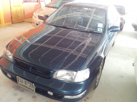 ขายตูดโด่ง สวยๆ ถูกๆ คคบ ขายตูดโด่ง สวยๆ ถูกๆ คคบ