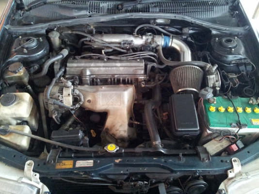 ขายตูดโด่ง สวยๆ ถูกๆ คคบ ขายตูดโด่ง สวยๆ ถูกๆ คคบ