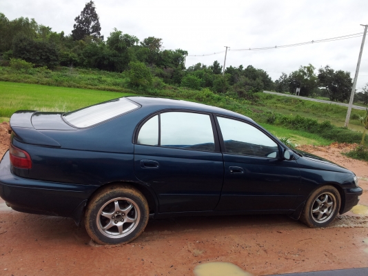 ขายตูดโด่ง สวยๆ ถูกๆ คคบ ขายตูดโด่ง สวยๆ ถูกๆ คคบ