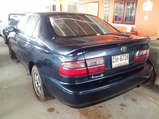 ขายตูดโด่ง สวยๆ ถูกๆ คคบ ขายตูดโด่ง สวยๆ ถูกๆ คคบ