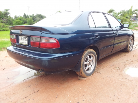 ขายตูดโด่ง สวยๆ ถูกๆ คคบ ขายตูดโด่ง สวยๆ ถูกๆ คคบ