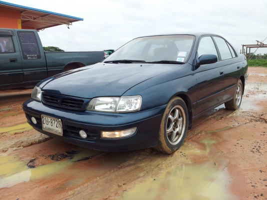 ขายตูดโด่ง สวยๆ ถูกๆ คคบ ขายตูดโด่ง สวยๆ ถูกๆ คคบ