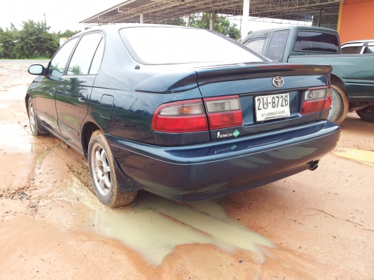 ขายตูดโด่ง สวยๆ ถูกๆ คคบ ขายตูดโด่ง สวยๆ ถูกๆ คคบ