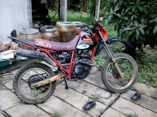 honda xlr 250 r เก่าjapan