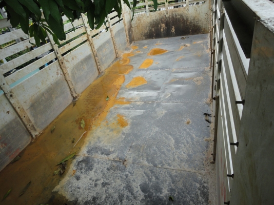 ขาย 10 ล้อ ดั้ม 2 เพลา MEGA FM 260 แรง โบว์ สภาพสวย พร้อมใช้. ลดราคา. 1950000 บาท