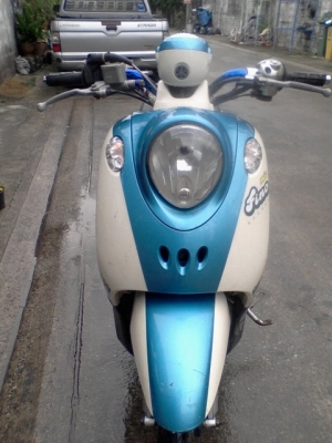 ฟีโน่ปี51