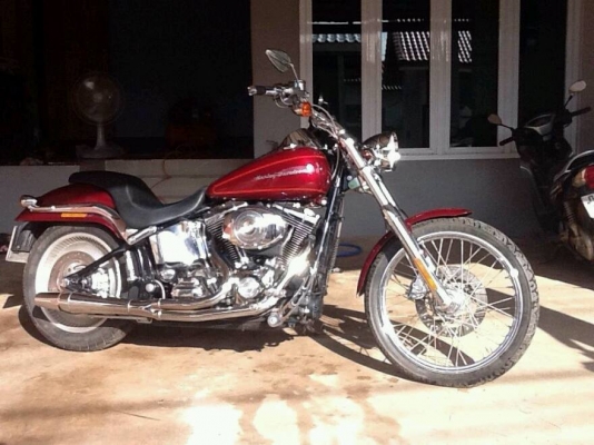ขาย HD 2002 harley davidson softail ทะเบียนแท้ลดกันไปเลยแบบสุดๆ 530000 ต่อลองได้ครับ