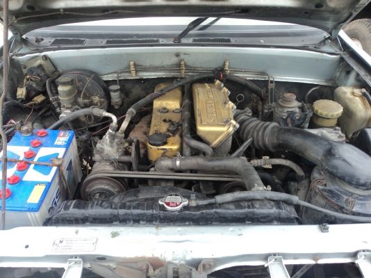 ขายหน้าหนู ปี 38