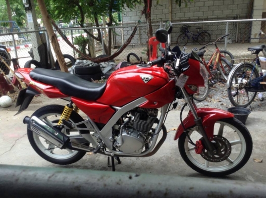 ขาย tiger 200 สตาดมือ เดิมโรงงาน สวยมากๆๆ ทะเบียนโอน ขาดต่อขาย 13500 ขาย tiger 200 สตาดมือ เดิมโรงงาน สวยมากๆๆ ทะเบียนโอน ขาดต่อขาย 13500