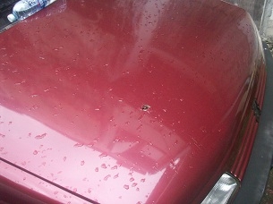 เปอโยต์ 405 GR ตามสภาพ เปอโยต์ 405 GR ตามสภาพ