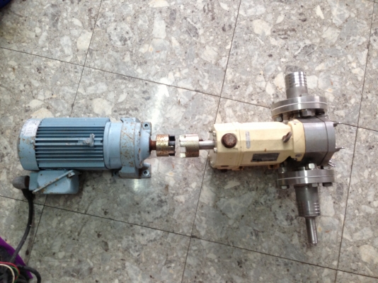 ขายมอเตอร์เกียร์ Sumitomo 2 HP. 220 V 3 เฟส อัตราทด 1:3 พร้อมเกียร์ปั้ม เฟือง+หัวปั้มเป็นสแตนเลส ใช้ในงานปั่น น้ำมันพืช หรือน้ำที่มีความหนืดชนิดต่างๆ ต่อแท่นใหม่พร้อมใช้งาน