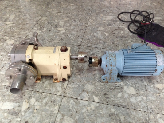 ขายมอเตอร์เกียร์ Sumitomo 2 HP. 220 V 3 เฟส อัตราทด 1:3 พร้อมเกียร์ปั้ม เฟือง+หัวปั้มเป็นสแตนเลส ใช้ในงานปั่น น้ำมันพืช หรือน้ำที่มีความหนืดชนิดต่างๆ ต่อแท่นใหม่พร้อมใช้งาน