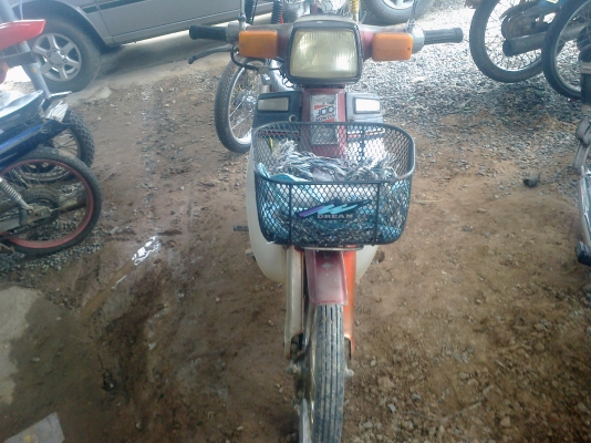 ลุงทุม หัวเขา   ติดต่อ 086  764   5698