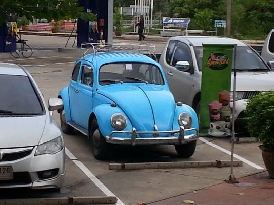 ขาย เต่าตาหวาน